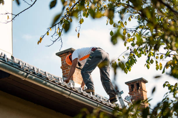 Best Local Roofing Companies  in Williamstown, WV