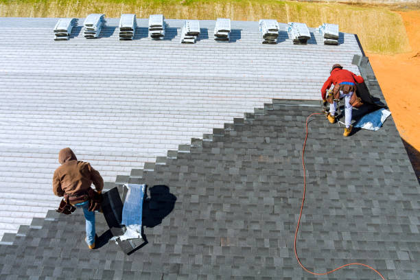 Best Roof Repair Services  in Williamstown, WV