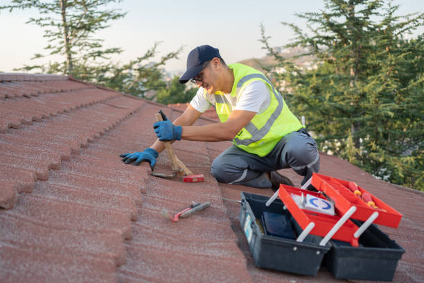 Best Local Roofing Companies  in Williamstown, WV