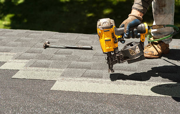 Best Roof Gutter Cleaning  in Williamstown, WV